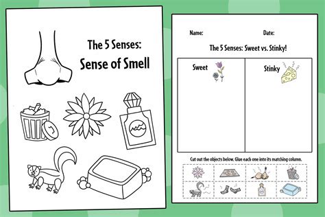 Sense Of Smell Worksheet At Melaniachandler Senses Preschool Preschool 5 Senses Worksheets - Preschool 5 Senses Worksheets