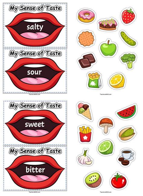 Sense Of Taste 1 2 3 Kindergarten Sense Of Taste For Kindergarten - Sense Of Taste For Kindergarten
