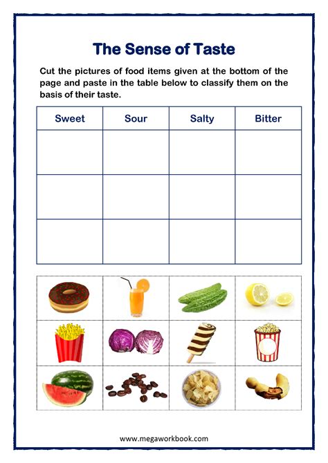 Sense Of Taste Worksheets For Preschool The Hollydog Preschool Worksheet Sense  Taste - Preschool Worksheet Sense: Taste