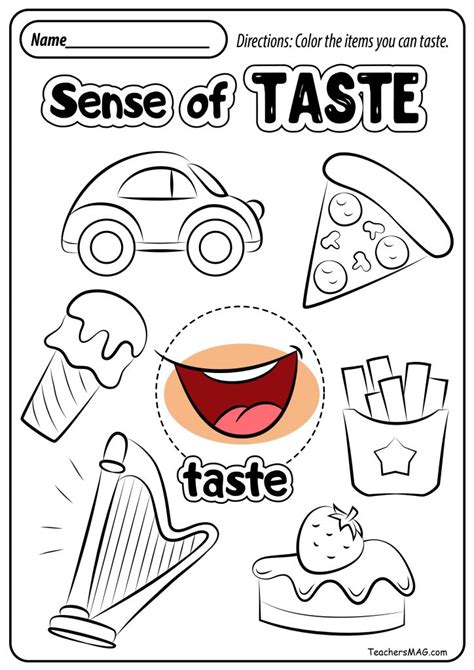 Sense Of Touch And Taste Worksheet For Kids Preschool Worksheet Sense  Taste - Preschool Worksheet Sense: Taste