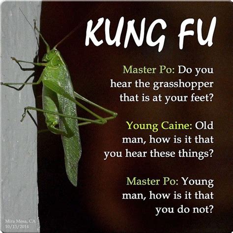 Sensei Grasshopper Quotes
