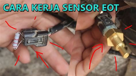 sensor eot | BCS M12BBE2PSC80HS04K Capacitive level sensors with