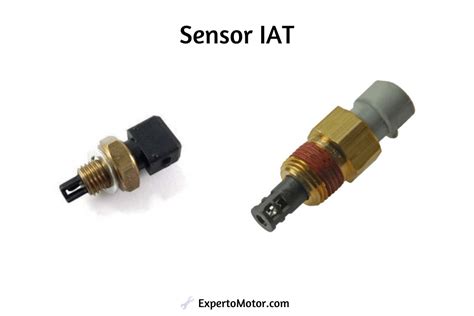sensor iat | Intake Air Temperature Sensor Iat Sensor Assembly