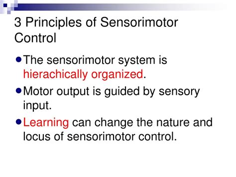 Sensorimotor Control And Learning An Introduction To The Behavioral Neuroscience Of Action By Tresilian James 2012 Hardcover