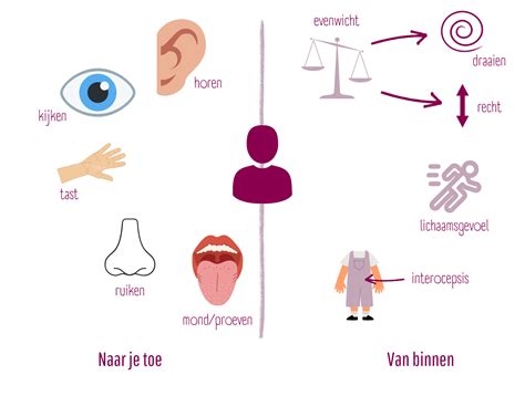 sensorische informatie