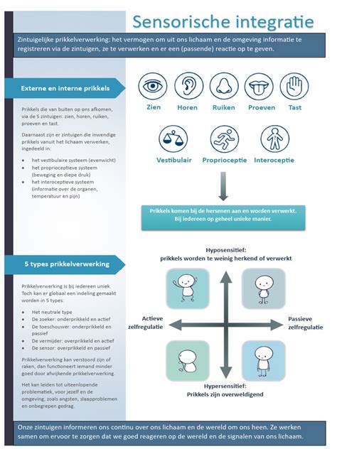 sensorische integratie
