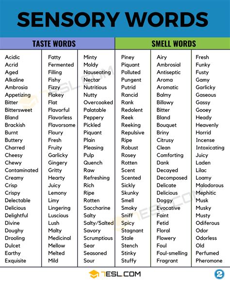 Sensory Words Education Com Sensory Words Worksheet - Sensory Words Worksheet