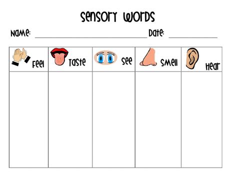 Sensory Words Osmo Sensory Words Worksheet First Grade - Sensory Words Worksheet First Grade