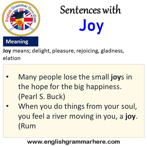 Sentence For Joy