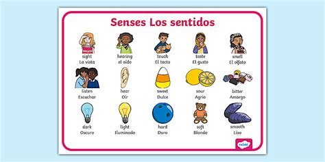 Señora En Ingles