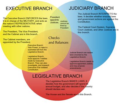 Full Download Separation Of Powers Venn Diagram Answers 