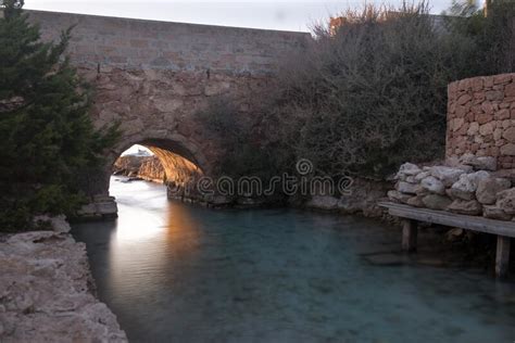 nature photo by Fred Borer