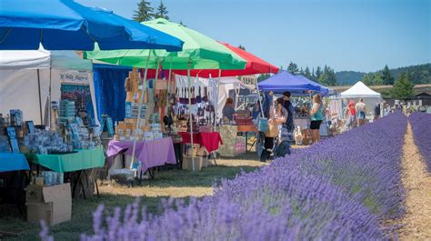 Sequim Lavender Festival