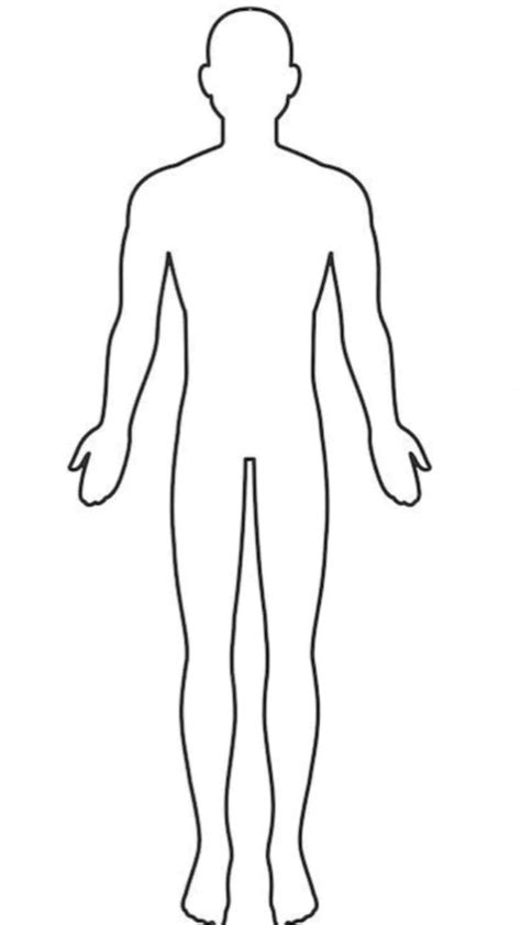 Ser Humano Dibujo