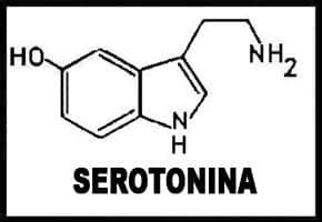 seratonina-4