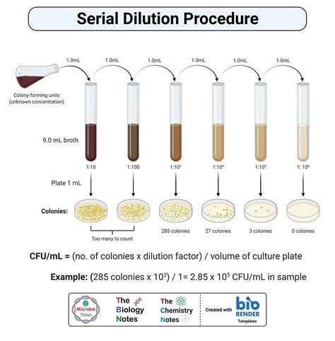 Serial Dilution Method