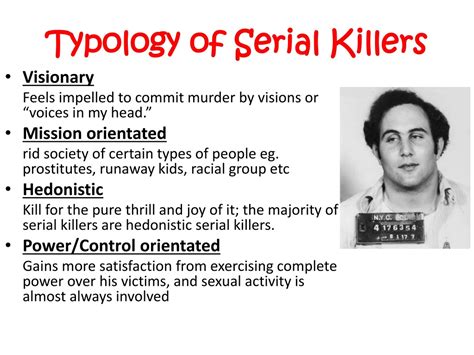 Serial Killer History Research Task Lesson Plan 2nd Grade Reseach Worksheet - 2nd Grade Reseach Worksheet