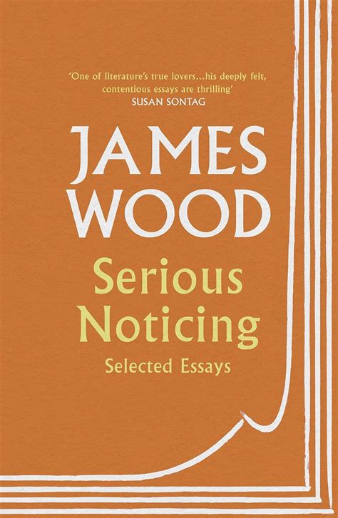 serious noticing selected essays