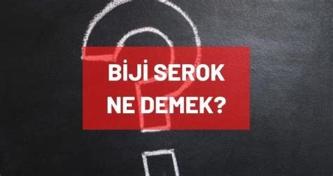 serok ne demek