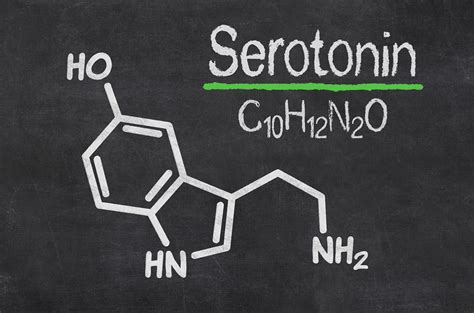 serotonin adalah
