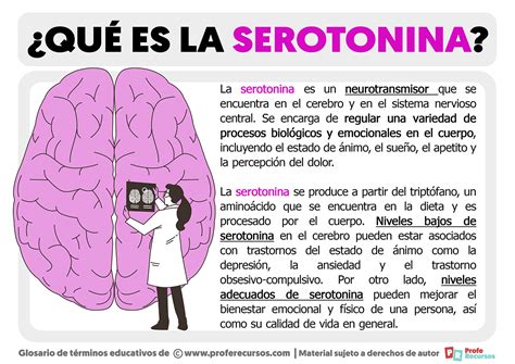 Serotonina Que Es
