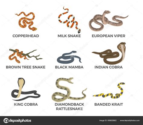 serpientes