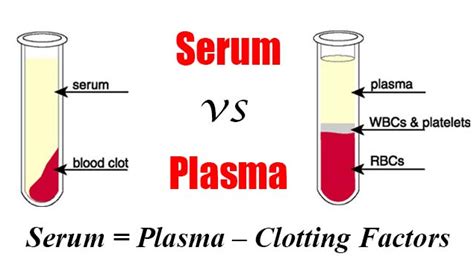 serum plasma 차이 - > BRIC - U2X