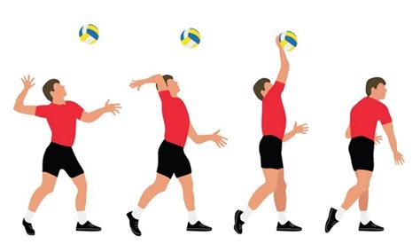 servis atas | servis trong ting Ting Vit Ting MalaysiaTing