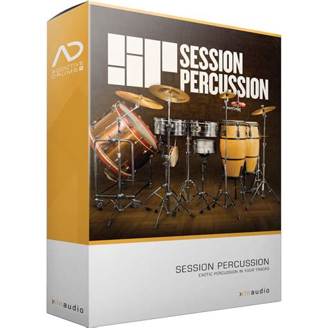 session drummer 2 vst