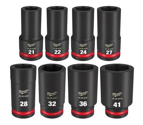 Set Of 24 For The Human Skeleton Nyt