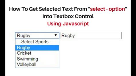 set text selection javascript