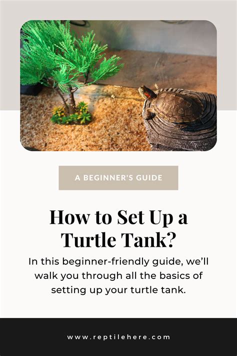 Set Up Manual For Turtle Beach Px4