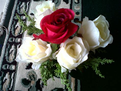 setangkai mawar merah dan putih
