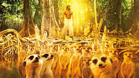 Setting For Life Of Pi