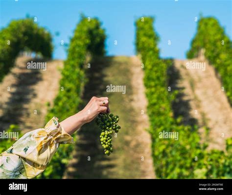 Setting Of The Grapes Of Wrath