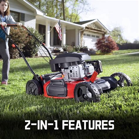 settings for new lawn red devil