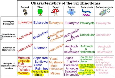 Seven Kingdom Classification
