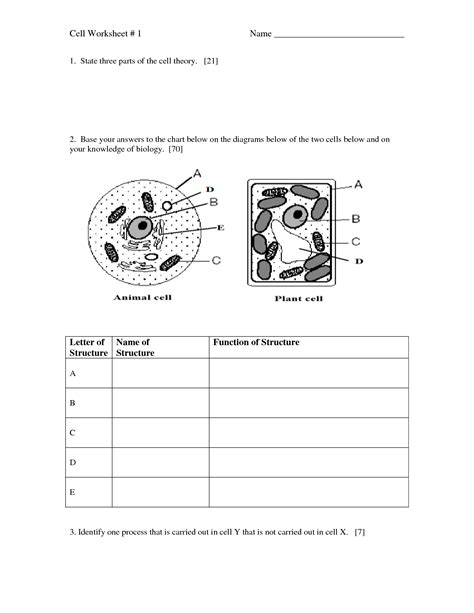 Seventh Grade Grade 7 Cell Structure And Function Cell Theory Worksheet 7th Grade - Cell Theory Worksheet 7th Grade
