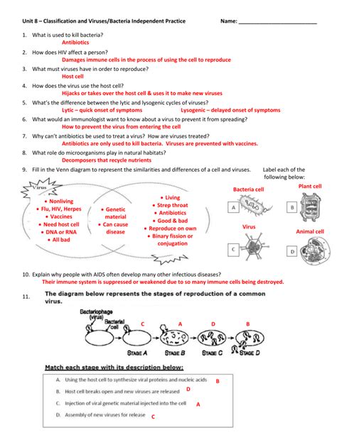 Seventh Grade Grade 7 Microbiology Questions Helpteaching Organism Worksheet For 7th Grade - Organism Worksheet For 7th Grade