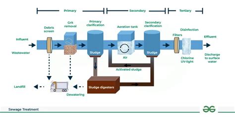 Sewage Treatment Class 12