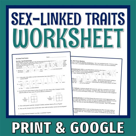 Sex Linked Traits Worksheet And Student Teaching Work X Linked Traits Worksheet Answers - X Linked Traits Worksheet Answers