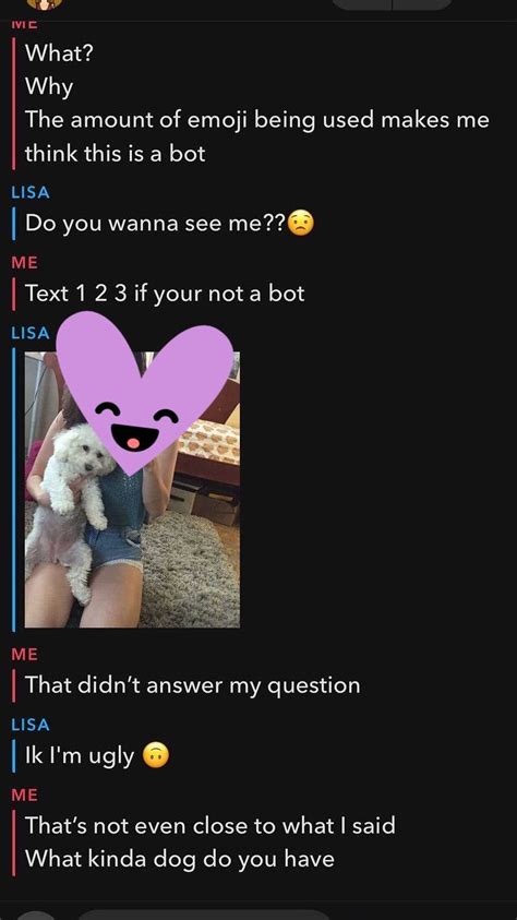 Sexbots On Snapchat