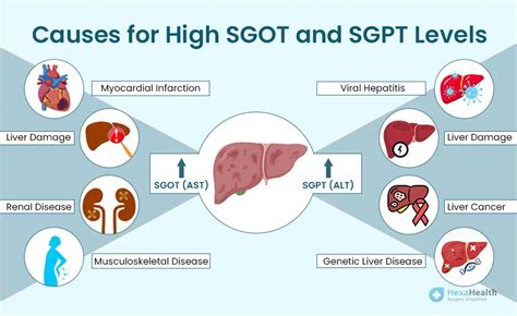 Sgot Sgpt Meaning