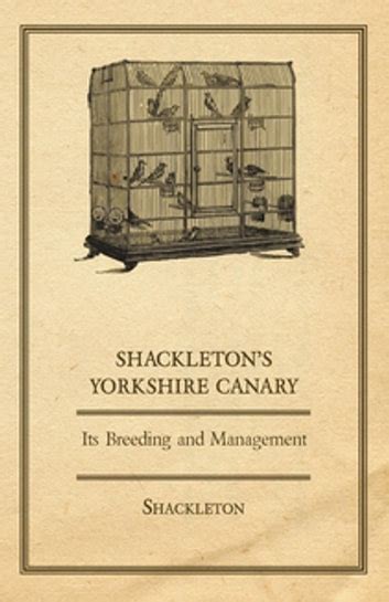 Full Download Shackletons Yorkshire Canary Its Breeding And Management 