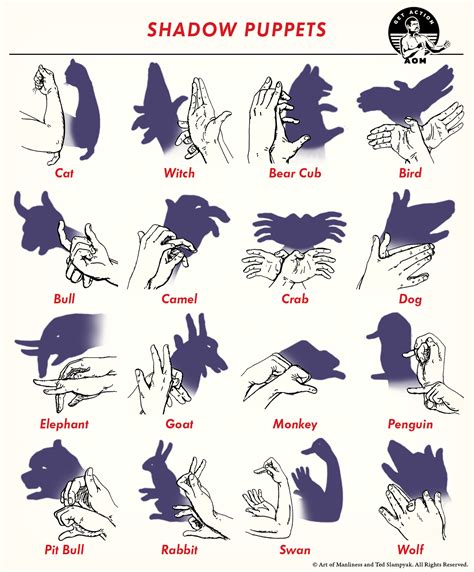 Shadow Puppets With Hands