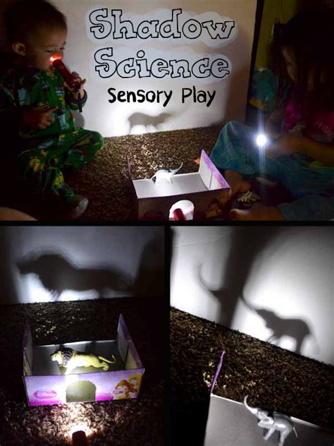 Shadow Science For Kindergarten And First Grade Groundhog Shadows Kindergarten - Shadows Kindergarten