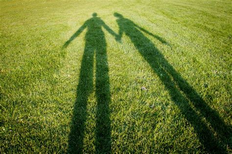 Shadows