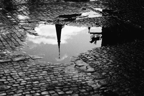 shadows and reflections