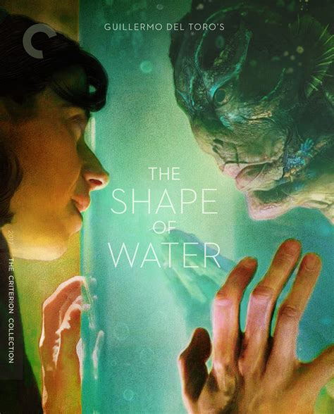 Shape In The Water