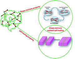 Shape Memory And Self Healing In A Molecular Shape Of Science - Shape Of Science